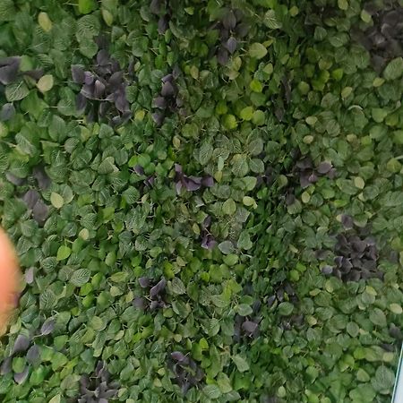 阿尔曼萨Rajabai公寓 外观 照片
