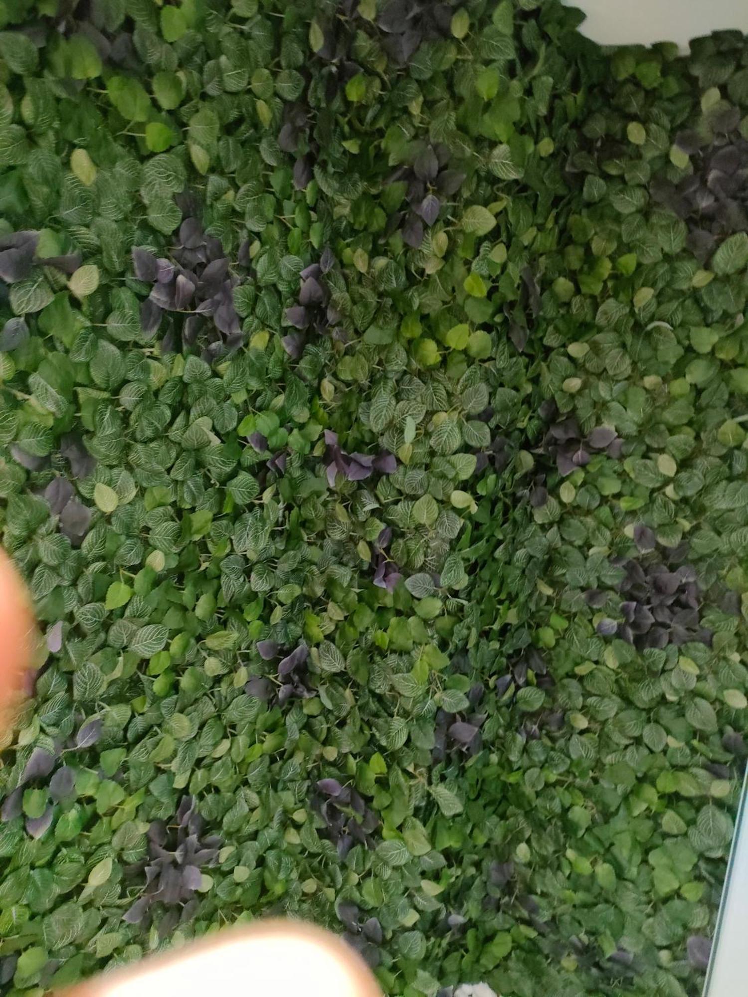 阿尔曼萨Rajabai公寓 外观 照片